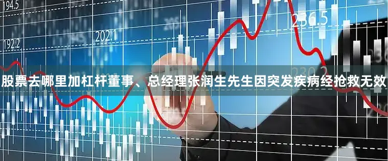 股票去哪里加杠杆董事、总经理张润生先生因突发疾病经抢救无效