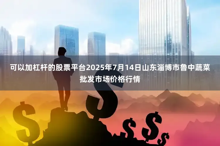可以加杠杆的股票平台2025年7月14日山东淄博市鲁中蔬菜批发市场价格行情