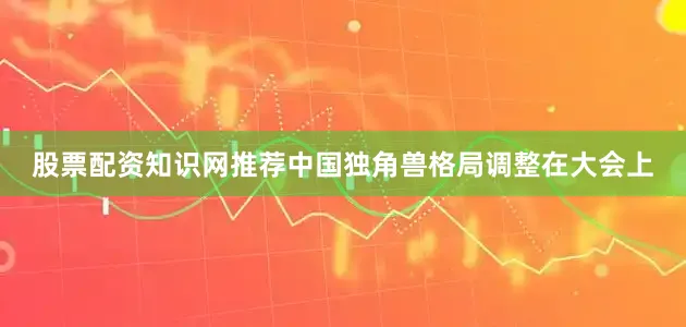 股票配资知识网推荐中国独角兽格局调整在大会上