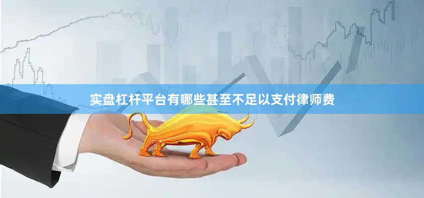 实盘杠杆平台有哪些甚至不足以支付律师费