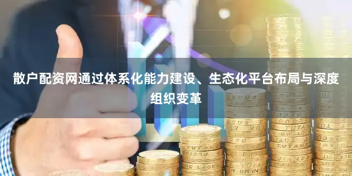 散户配资网通过体系化能力建设、生态化平台布局与深度组织变革